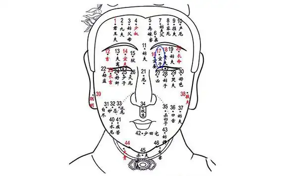 男人右眉头有痣宜妻男人右眉上有痣图解