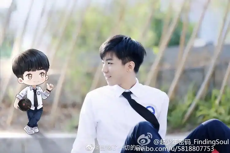 这个系列实在是太可爱啦