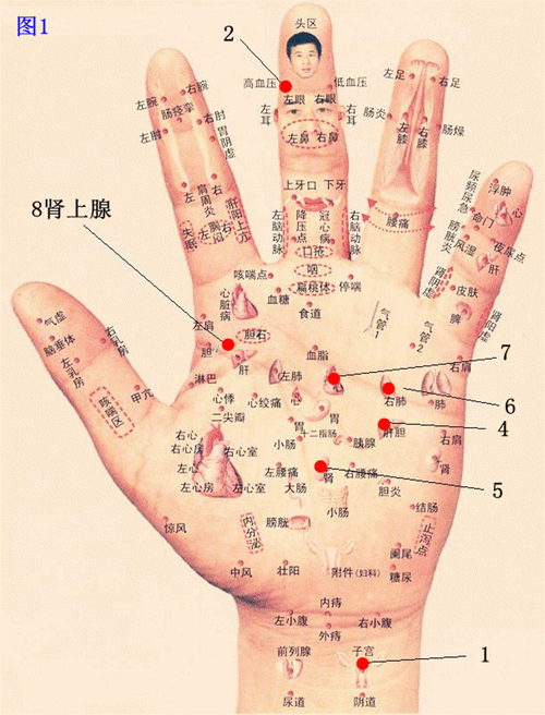手掌肺的反射区有痣(手掌上肺的反射区是什么位置)