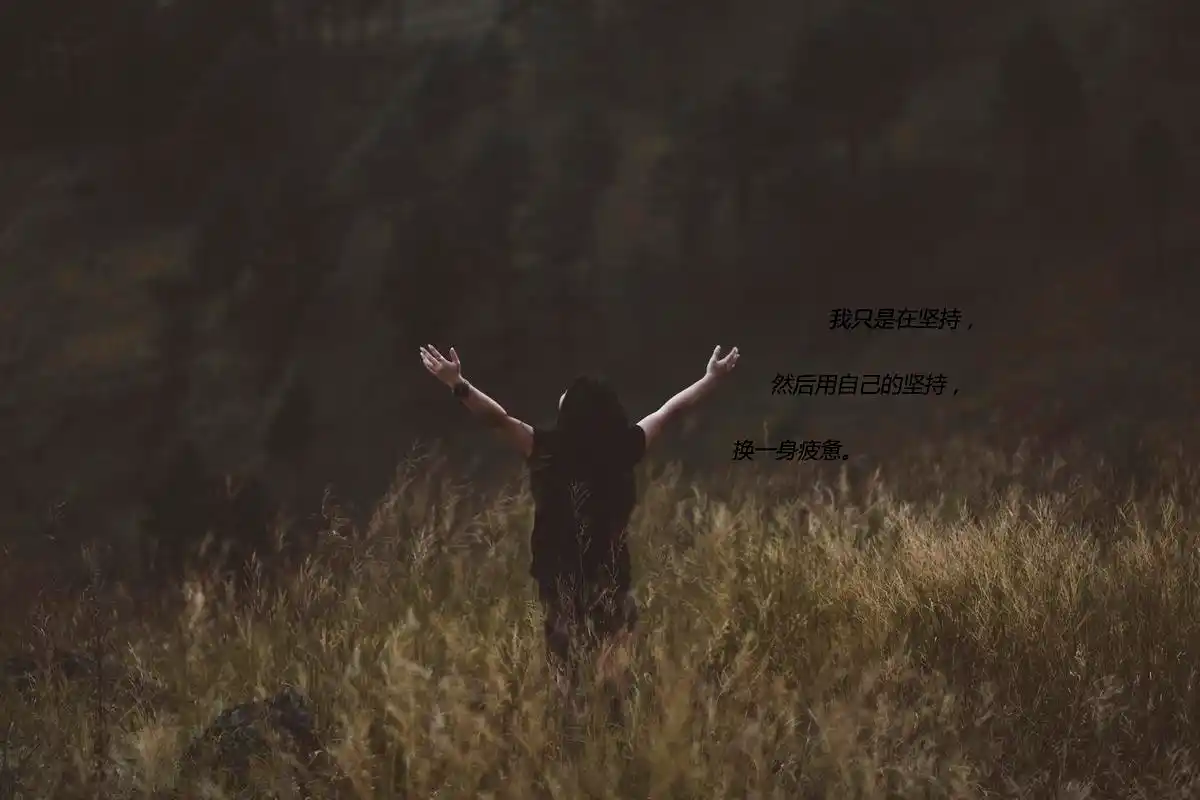 失望到放弃的文字图片