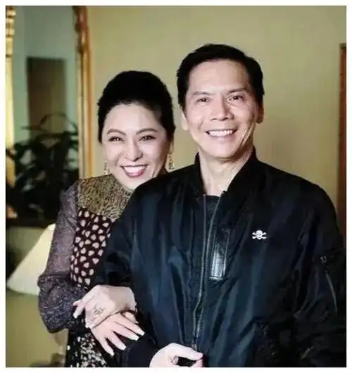 逆境中的传奇陈岚与向华强光芒闪耀坚韧绽放