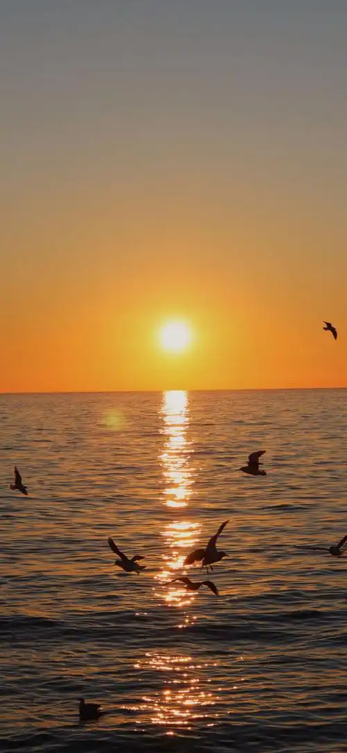 iphone高级感手机壁纸