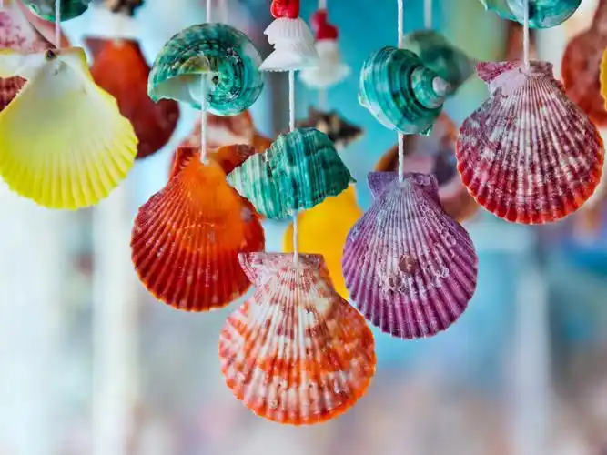 五颜六色的贝壳,装饰 iphone 壁纸