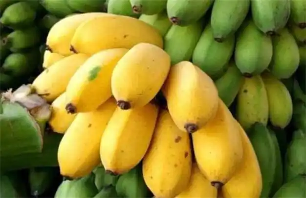吃了30年的香蕉才发现,香蕉和芭蕉的区别这么大,看完|