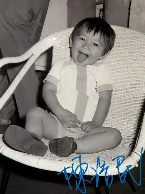 p data-id="gocwo3l0xt">陈浩民,1969年10月7日出生于 a target="