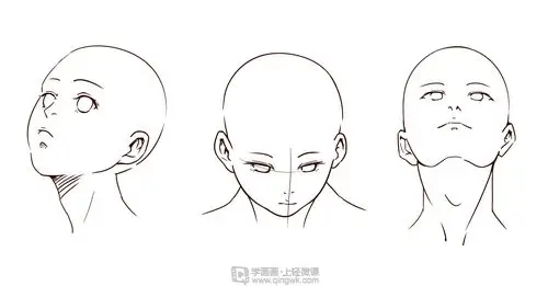 作业:动漫人物头部仰视,俯视的画法训练 - 壹零零 - 轻微课