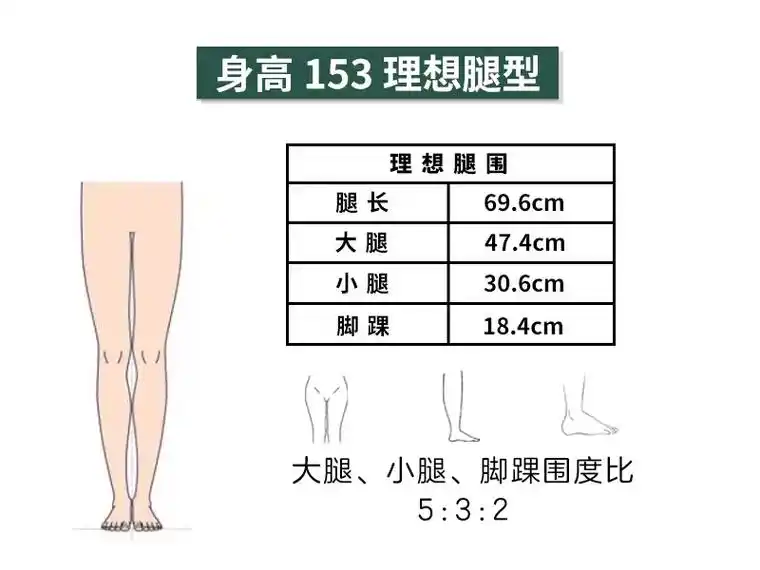 理想腿围来咯,标准腿型的 - 抖音
