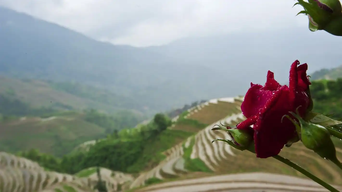 广西龙脊梯田风景高清电脑桌面主题壁纸大图(一)