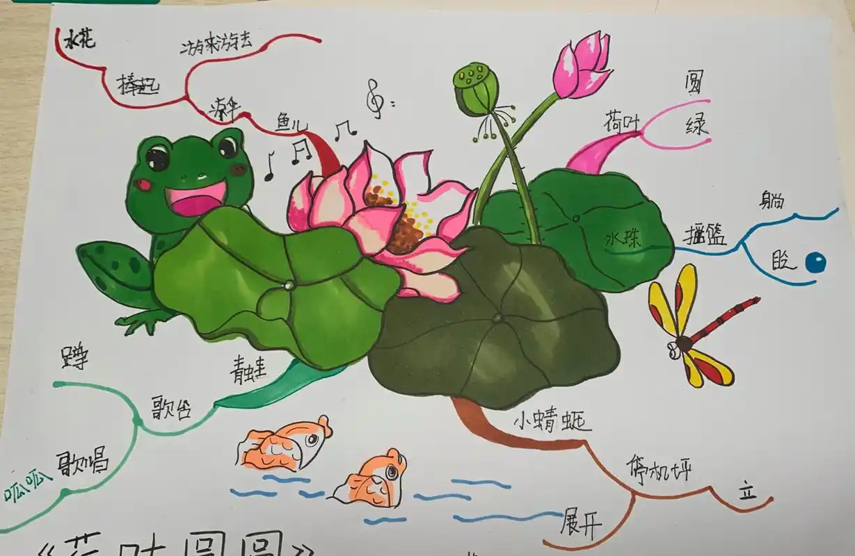 一年级 语文 荷叶圆圆 思维导图 简笔画 一年级语文下册