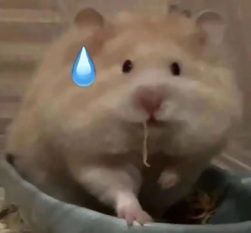 可爱小仓鼠表情包~手慢无! 浅浅的发一下可爱仓鼠表情包吧