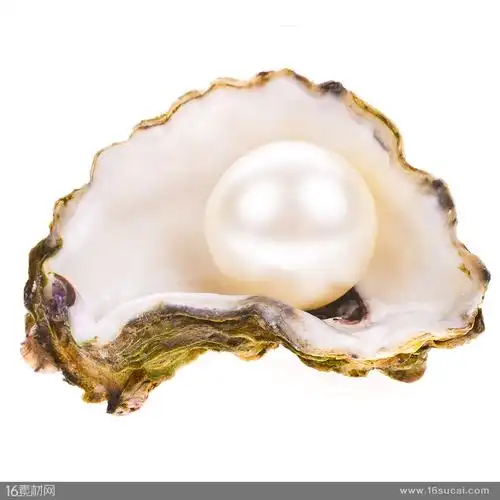 首页 高清图片 其他高清图片关键词:蚌壳珍珠白珍珠闪亮的珍珠唯美