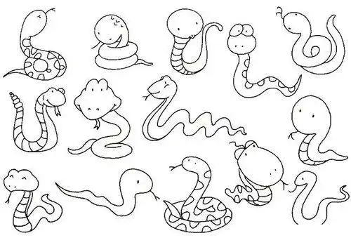 简笔画蛇和兔子