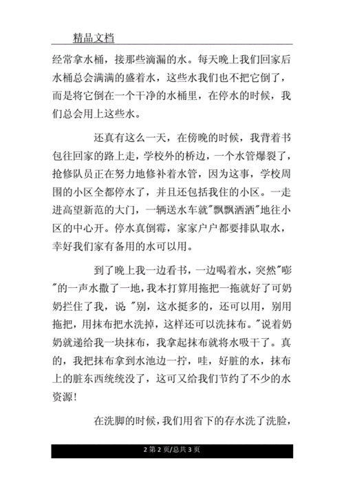 对于世界水日作文1000字数:最佳饮品水.doc 3页