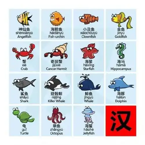 1分钟教会你记住所有常见海洋生物的英语名字