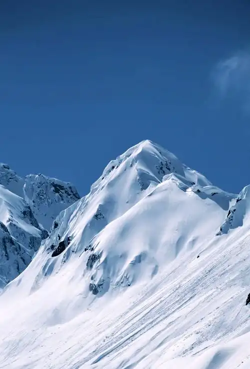 9015墨脱嘎隆拉雪山的神秘之旅 07穿越西藏林芝,你会遇到一座