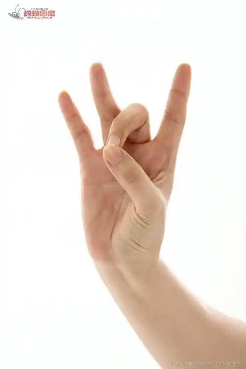 兰花指的介绍_百度知道