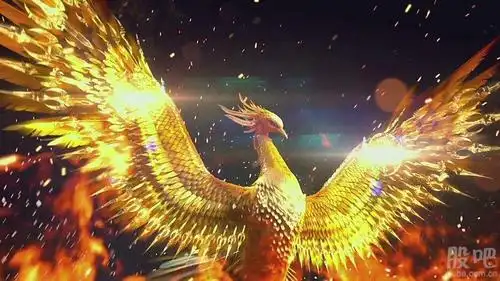 汇金股份(300368) 凤凰飞来,机会抄底,涅磐重生,裂变2018,火凤凰,火