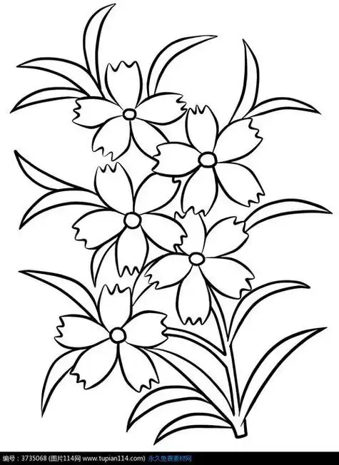 花卉简笔画花卉简笔画图片大全
