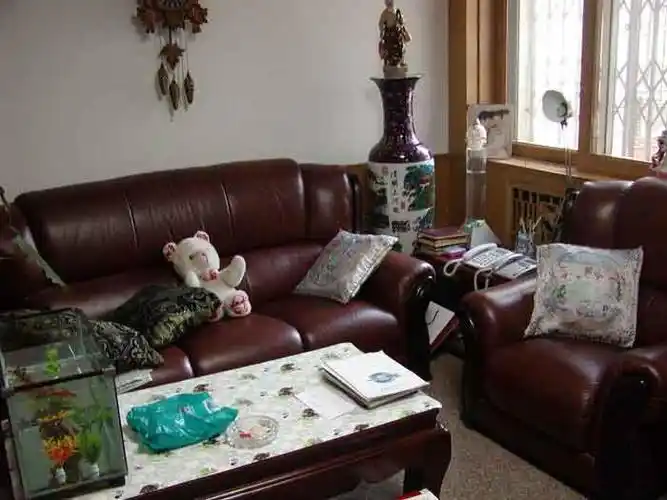 作品名称:我的有生活痕迹的家 客厅的沙发