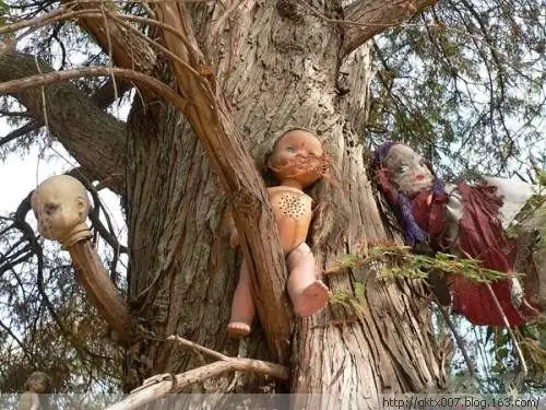 令人毛骨悚然的诡异娃娃岛慎入慎入