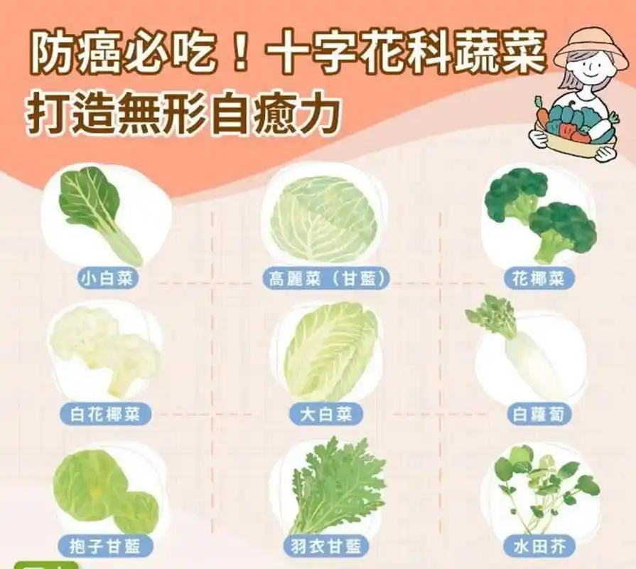 自発力,9 十字花科蔬菜具有吲朶,蘿蕁硫素等強大抗癌功效的秘密武器
