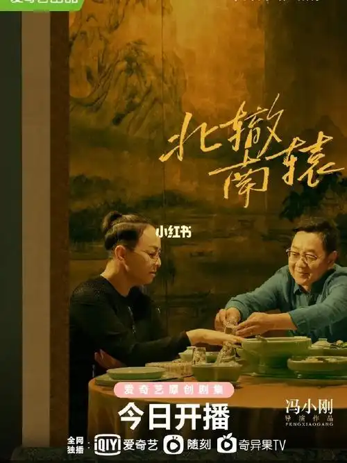 《北辙南辕》演员表绝了,内娱网剧阵容天花板_网剧_了不起的女孩影评