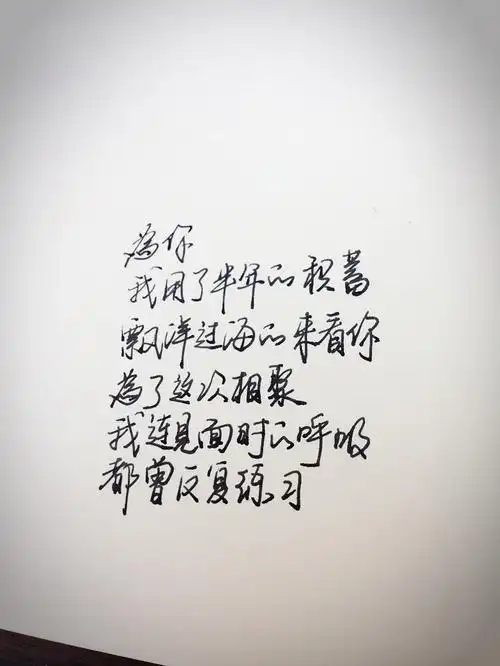 手写 歌词 句子 文字 唯美 爱情 漂洋过海来看你 李宗盛 情感 小清新