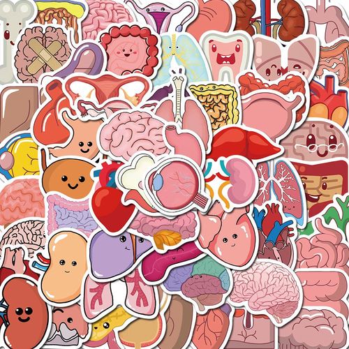 50张卡通身体器官医学科普贴纸精美创意手账手机电脑水杯防水贴画