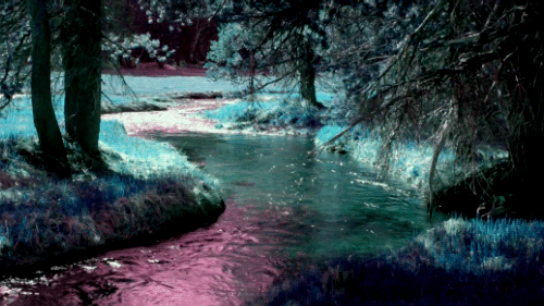 河溪水风景rivernaturegif动图_动态图_表情包下载_soogif