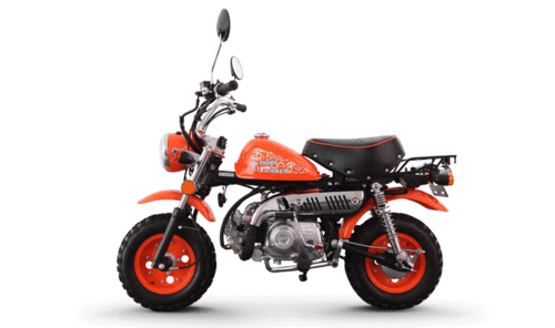 金城金童jc707情人节和糖果版小猴子上市