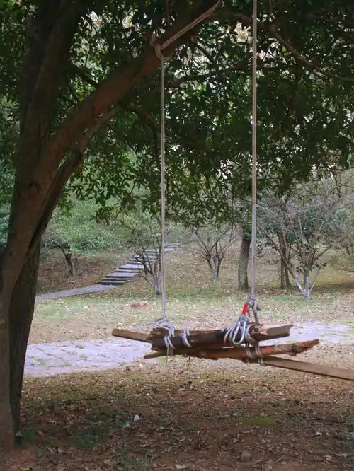 在植物园大人们自己做了一架秋千