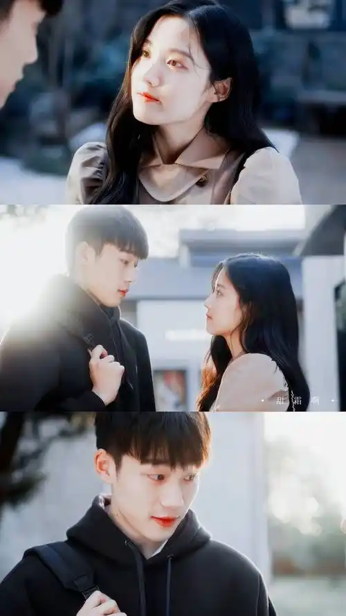 明天也想见到你中恋爱的氛围感十足你可以永远相信猫的树