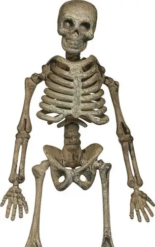 骷髅标志素材设计