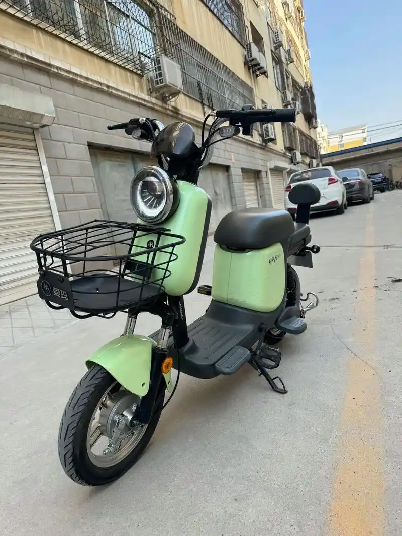 闲置转让 #性价比高的电动车推荐 爱玛锂电电动车,48伏2 - 抖音