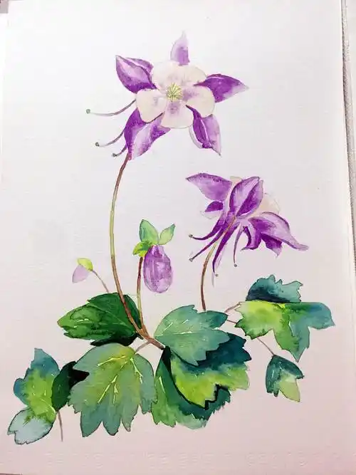 儿童水彩画临摹水彩初学者临摹图片简单儿童