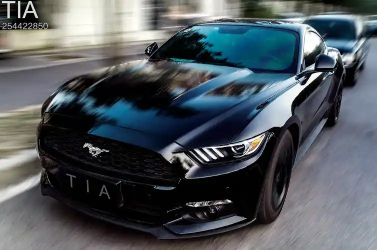 mustang 福特野马