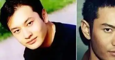 原来杨颖每天面对的是这样的黄晓明_植发_假发_网友