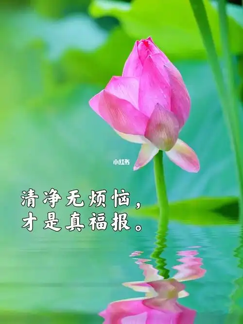 慈悲善良的图片学佛修行女人照片学佛修行图片慈悲善良虚伪小人图片