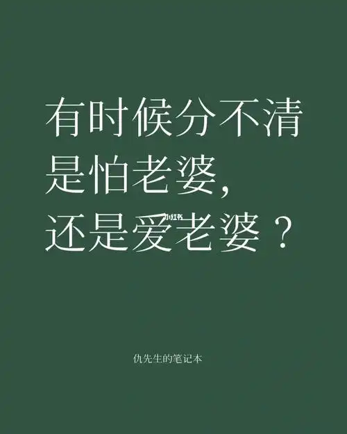 怕老婆还是爱老婆
