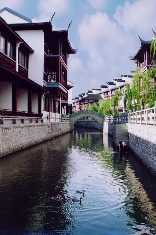 生态美镇……泗泾