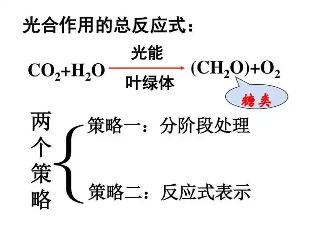 第4节 能量之源--光与光合作用公开课ppt