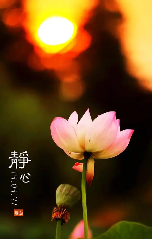 静心——轻轻闭上眼睛,用耳去捕捉交织在身旁的声波,用心去细细勾勒