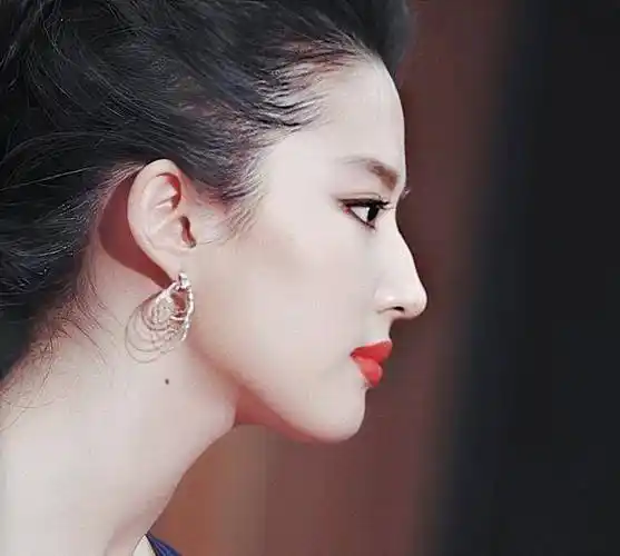 刘亦菲的神仙侧脸我可以吹一辈子!_鼻子_什么_皮相