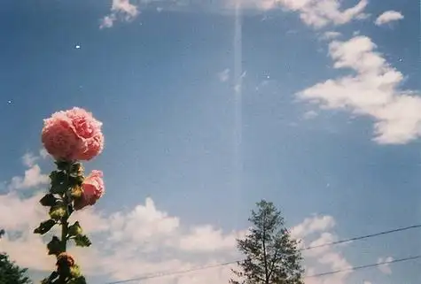 微信背景图片 -唯美图片-唯美图片大全