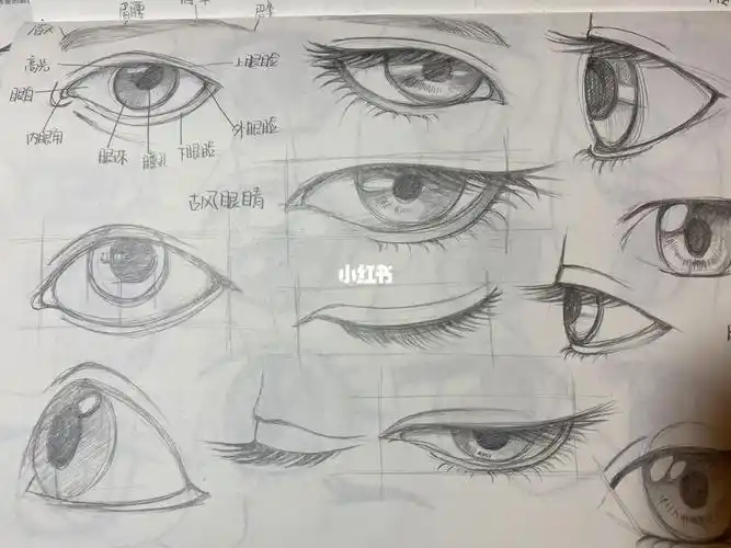 漫画人物系统学习打卡眼睛