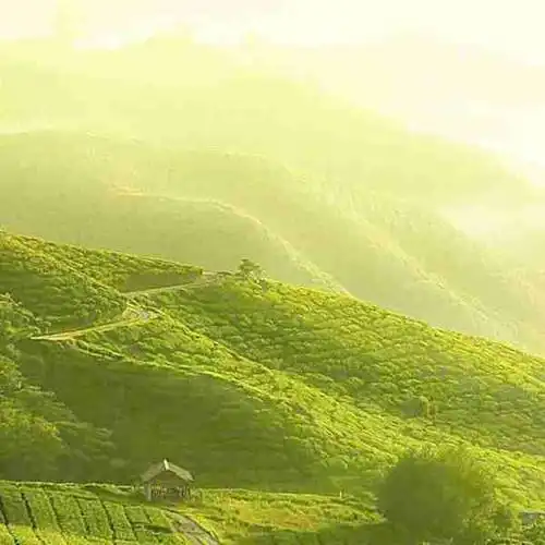 风景黎明的头像图片_微信头像图片大全