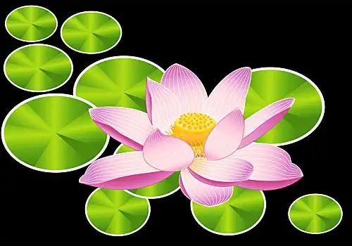 大莲花图片_大莲花图片大全_大莲花图片素材