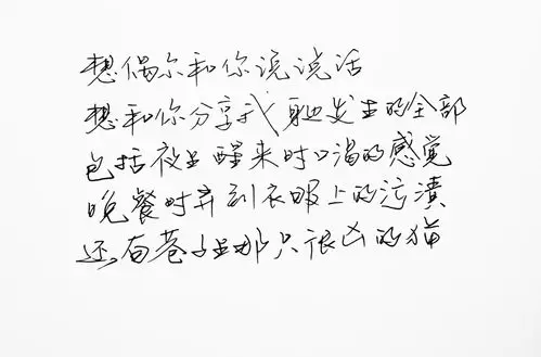 情书 安卓壁纸 iphone壁纸 横屏 歌词 备忘录 白底 钢笔 古风 黑白