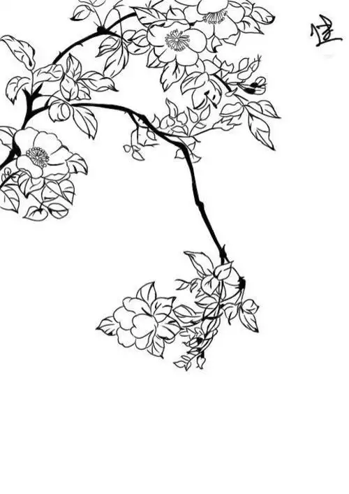 古风花简笔画要巨简单
