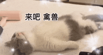 日常沙雕表情包